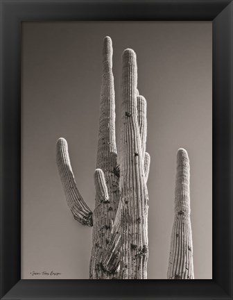 Framed Black &amp; White Cactus Print