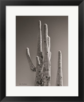 Framed Black &amp; White Cactus Print