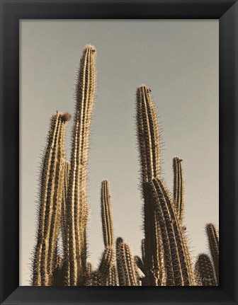 Framed Desert Cacti Print