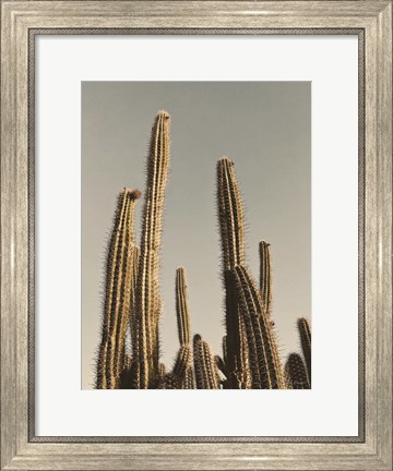 Framed Desert Cacti Print