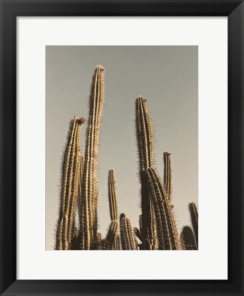 Framed Desert Cacti Print