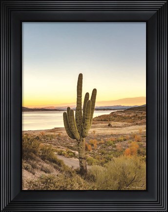 Framed Desert Cactus Sunset Print