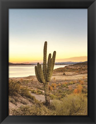 Framed Desert Cactus Sunset Print