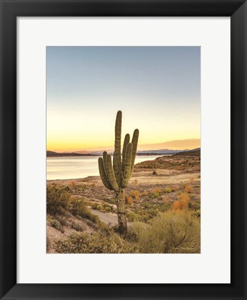 Framed Desert Cactus Sunset Print