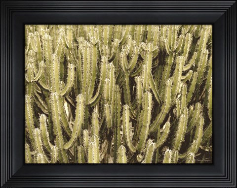Framed Full of Cactus Print
