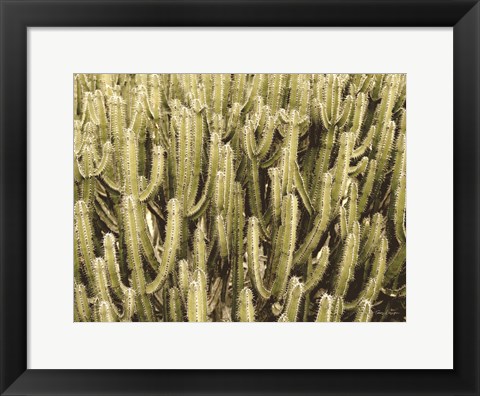 Framed Full of Cactus Print