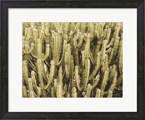 Framed Full of Cactus Print