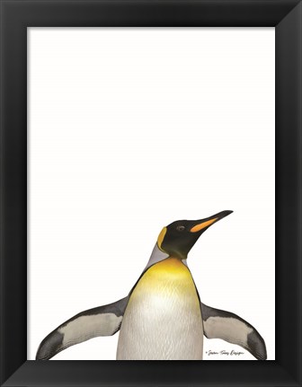 Framed Emperor Penguin Print