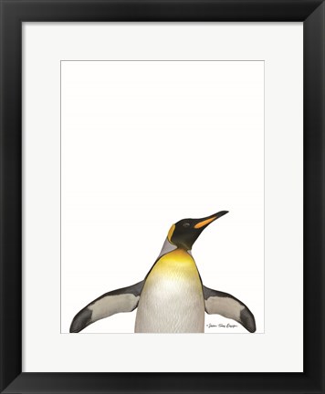 Framed Emperor Penguin Print