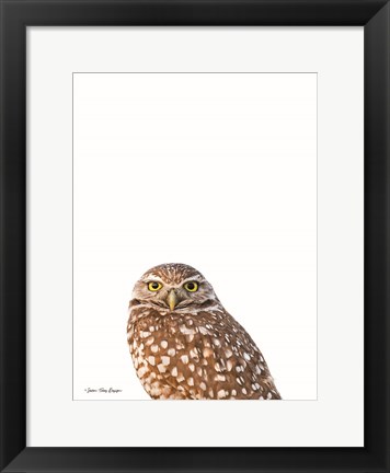 Framed Young Owl Print