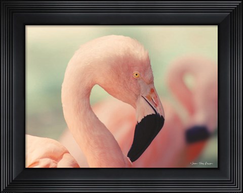 Framed Pink Flamingo Print