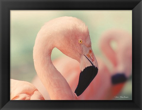 Framed Pink Flamingo Print