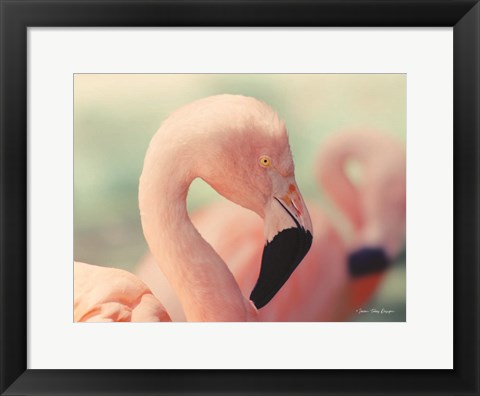 Framed Pink Flamingo Print