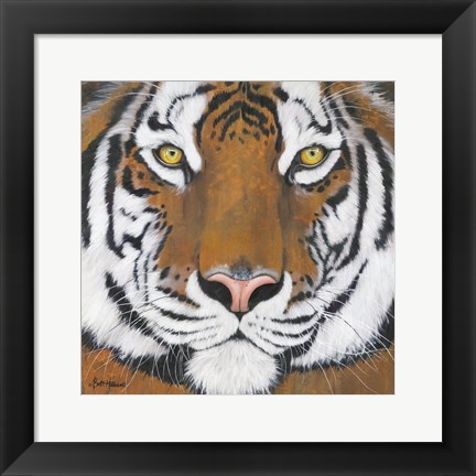 Framed Tiger Gaze Print