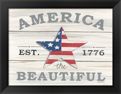 Framed America the Beautiful Star Print