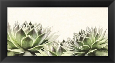 Framed Soft Succulents I Print