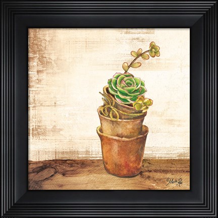 Framed Succulents in a Pot Print