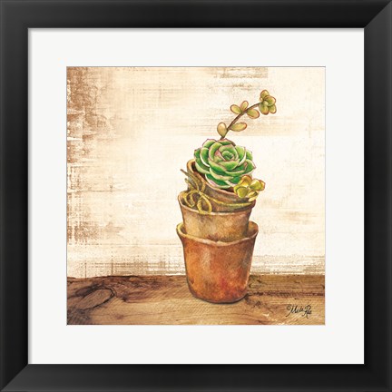 Framed Succulents in a Pot Print