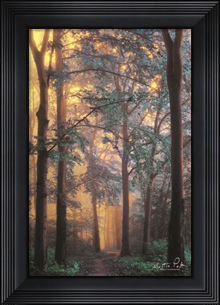 Framed Wonderland Print