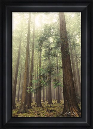 Framed Friendly Giants Print
