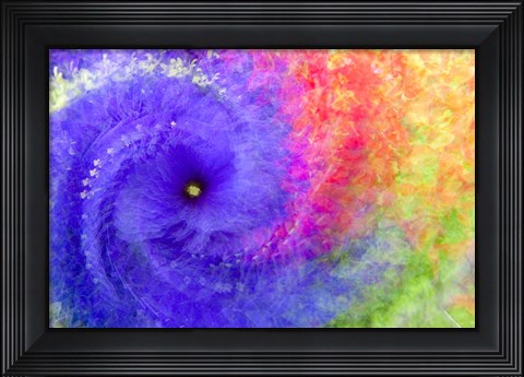 Framed Abstract Flowers in a Twirl Print