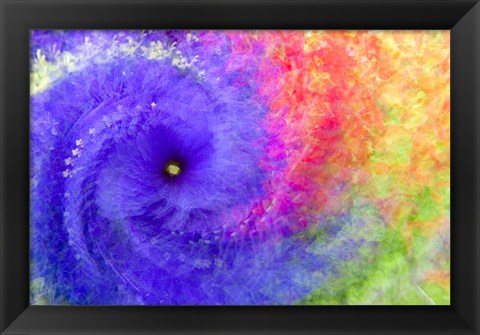 Framed Abstract Flowers in a Twirl Print