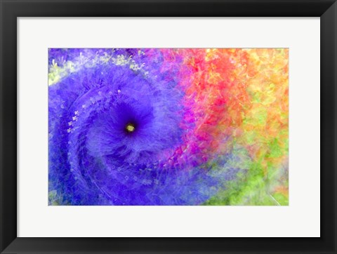 Framed Abstract Flowers in a Twirl Print