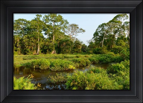 Framed Lango Bai Odzala-Kokoua National Park Congo Print