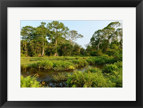 Framed Lango Bai Odzala-Kokoua National Park Congo Print