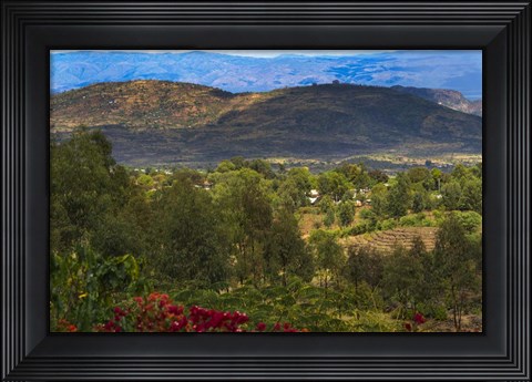 Framed Red flowers and Farmland in the Mountain, Konso, Ethiopia Print