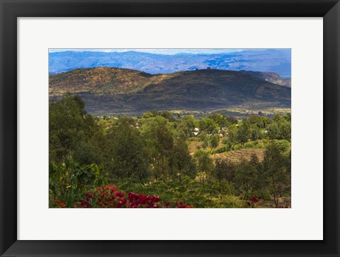 Framed Red flowers and Farmland in the Mountain, Konso, Ethiopia Print