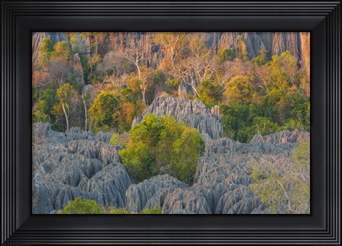 Framed Limestone Formations, Tsingy de Bemaraha Strict Nature Reserve, Madagascar Print