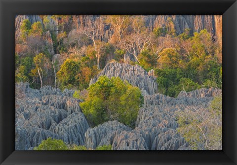 Framed Limestone Formations, Tsingy de Bemaraha Strict Nature Reserve, Madagascar Print