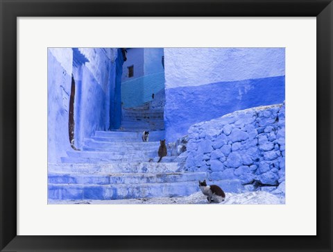 Framed Cats in an Alley, Chefchaouen, Morocco Print