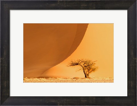 Framed Namib-Naukluft National Park, Namibia Print