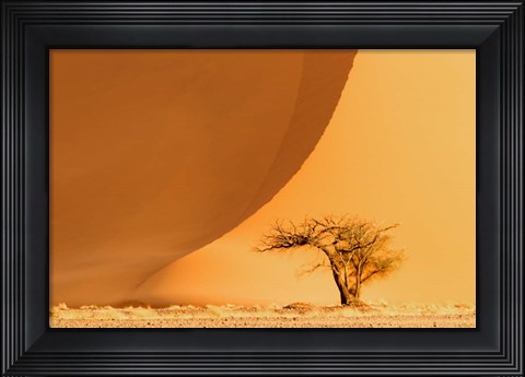 Framed Namib-Naukluft National Park, Namibia Print
