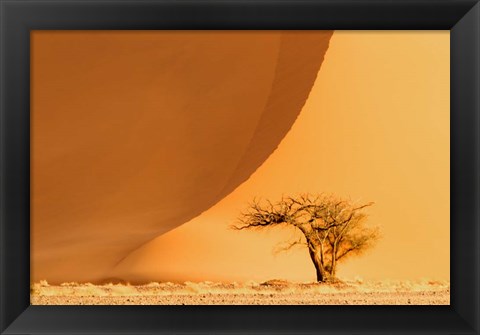 Framed Namib-Naukluft National Park, Namibia Print