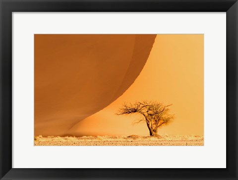 Framed Namib-Naukluft National Park, Namibia Print