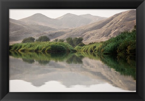 Framed Greenery Along the Banks of the Kunene River, Namibia Print