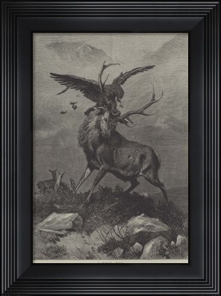 Framed Royal Duel Print