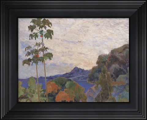 Framed Martinique Landscape (detail) Print