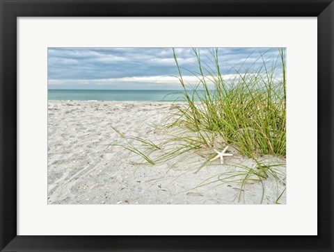 Framed Star Fish and Sea Oats Print