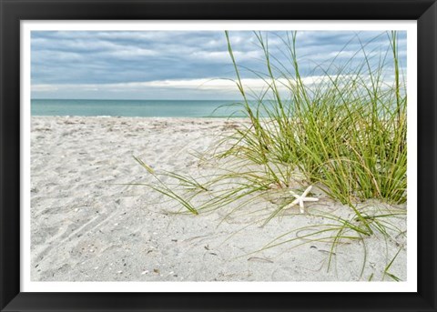 Framed Star Fish and Sea Oats Print