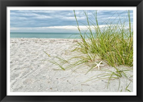 Framed Star Fish and Sea Oats Print