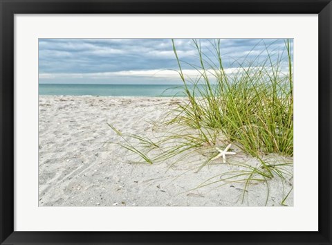 Framed Star Fish and Sea Oats Print