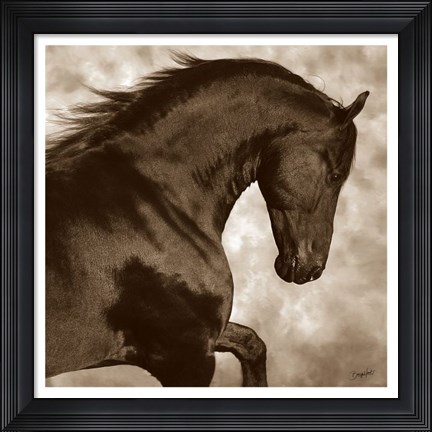 Framed Rio (sepia) Print