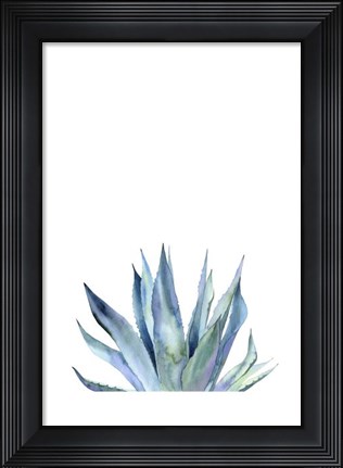 Framed Agave II Print