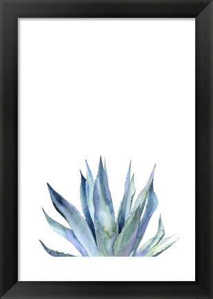 Framed Agave II Print