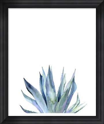 Framed Agave II Print