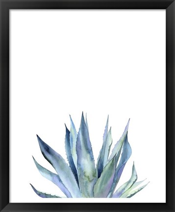 Framed Agave II Print